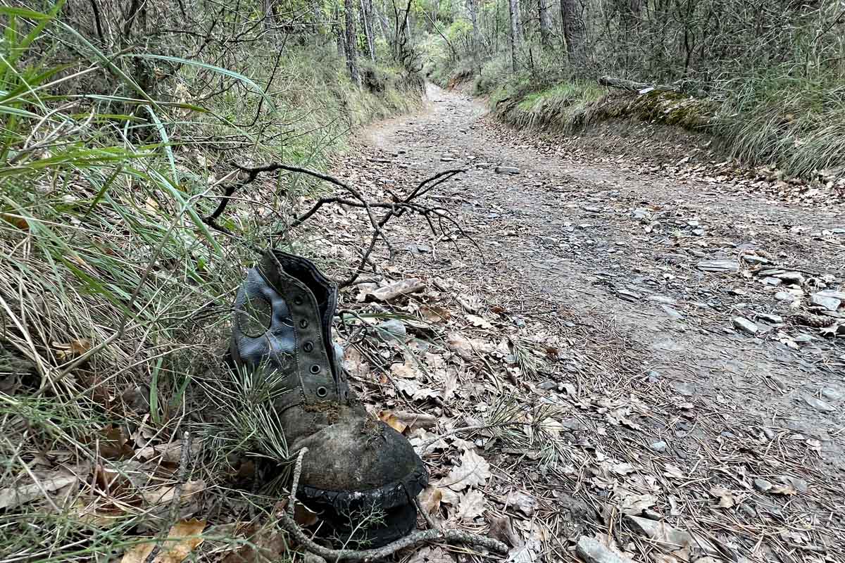 2021_Q4_Schroeder_05